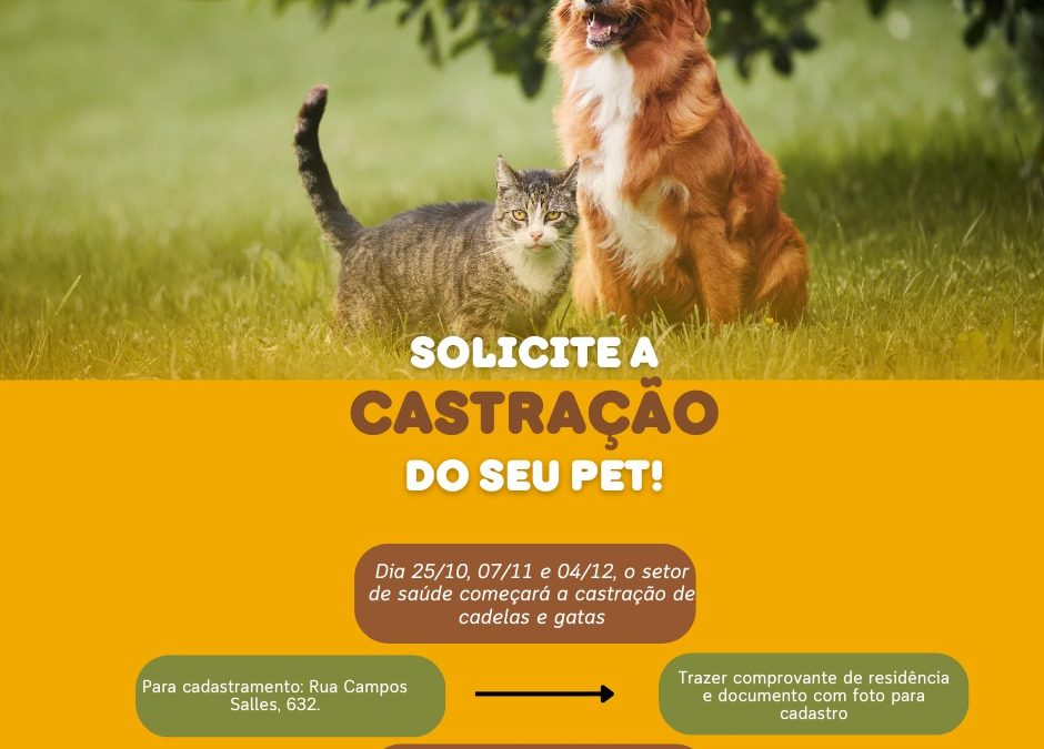 Cidade: Prefeitura abre cadastro para castração gratuita de cães e gatos