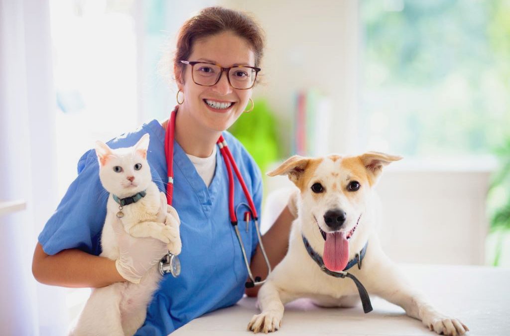 Política: Vereador pede adesão para unidade móvel de saúde animal