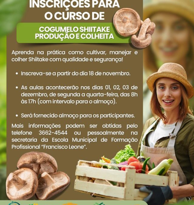 Educação: Curso ensina produção e colheita de cogumelo shiitake