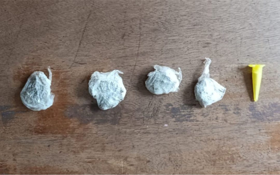 Policial: Homem é detido pela PM de Bariri com drogas