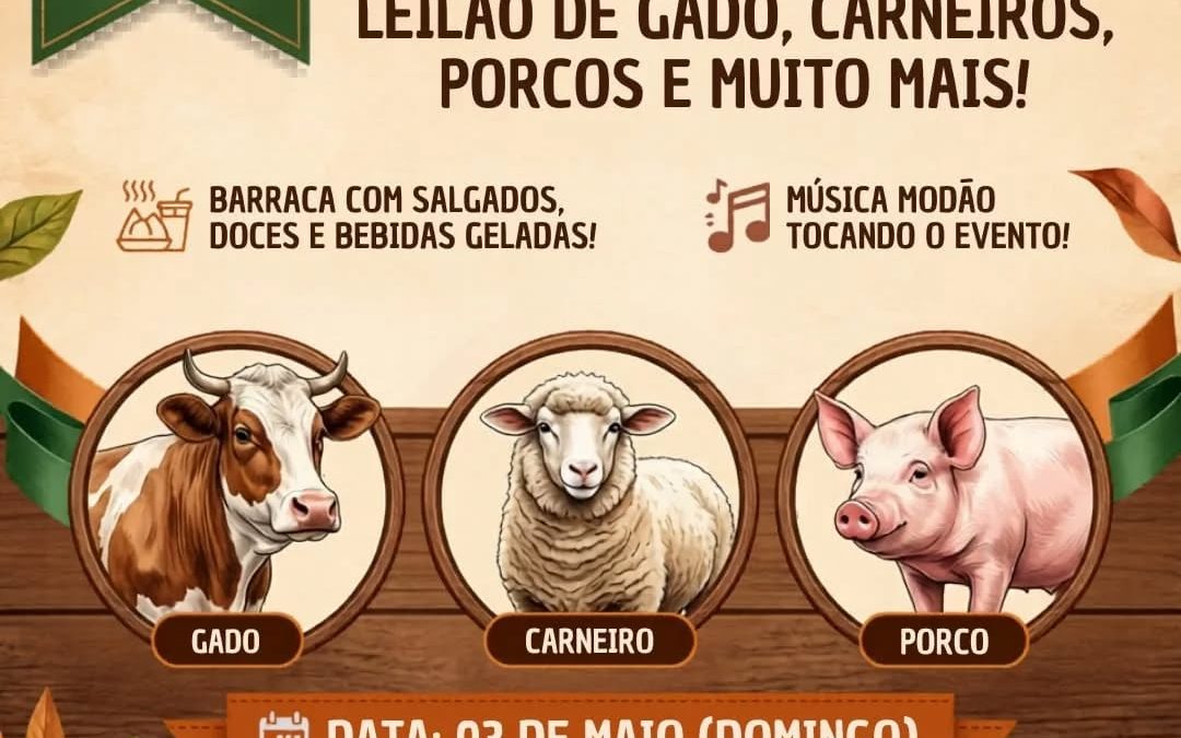 Cidade: Lar Vicentino promove leilão beneficente