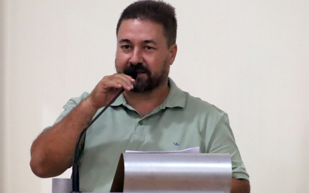 Cidade: Prefeitura quer contratar serviço de acolhimento e abrigamento de animais