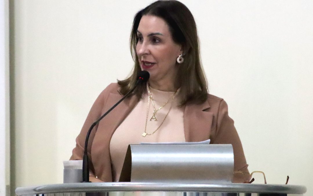 Política: Câmara abre CEI para apurar denúncias de maus-tratos em creches municipais