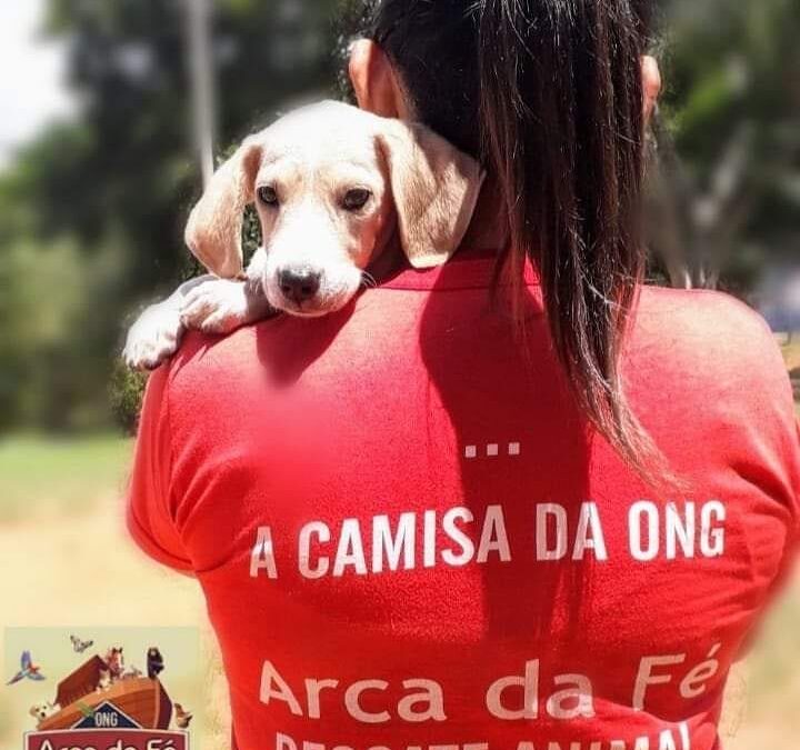 Cidade: ONG irá prestar serviço de acolhimento e abrigamento de animais