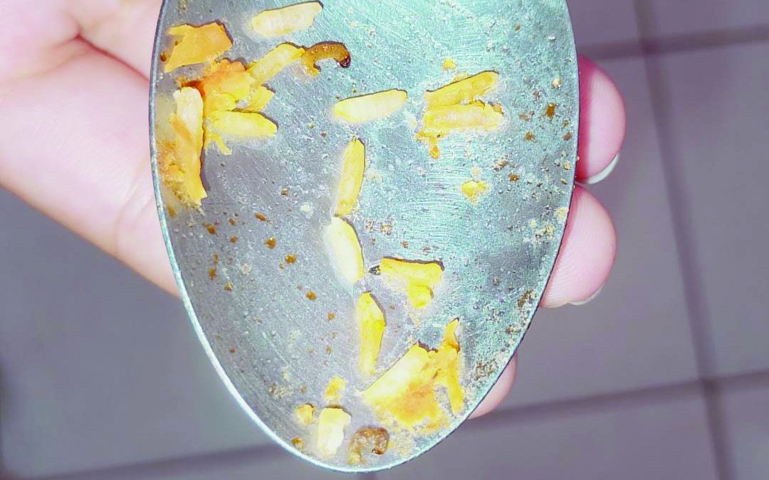 Educação: Larvas são encontradas na merenda de escola em Bariri