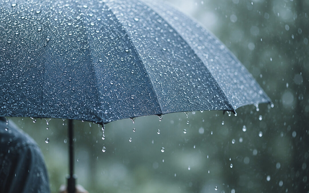 Cidade: Bariri registra 87 mm de chuva em junho