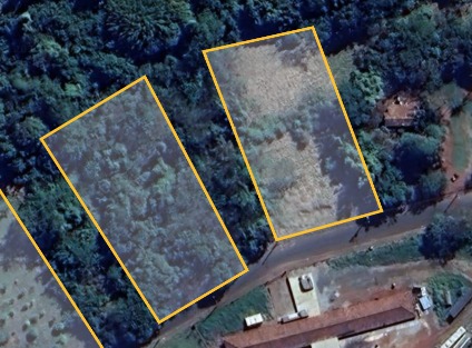 Política: Projeto quer transformar terrenos em áreas verdes