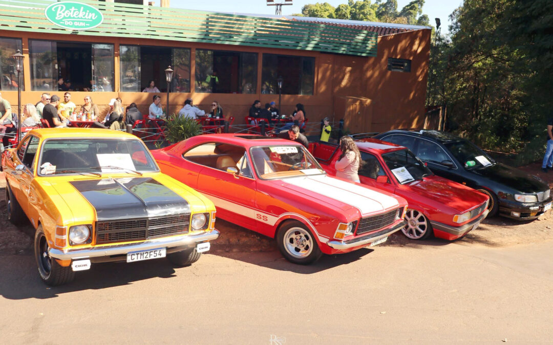 Cidade: Encontro de carros antigos no Lago Municipal reúne bom público