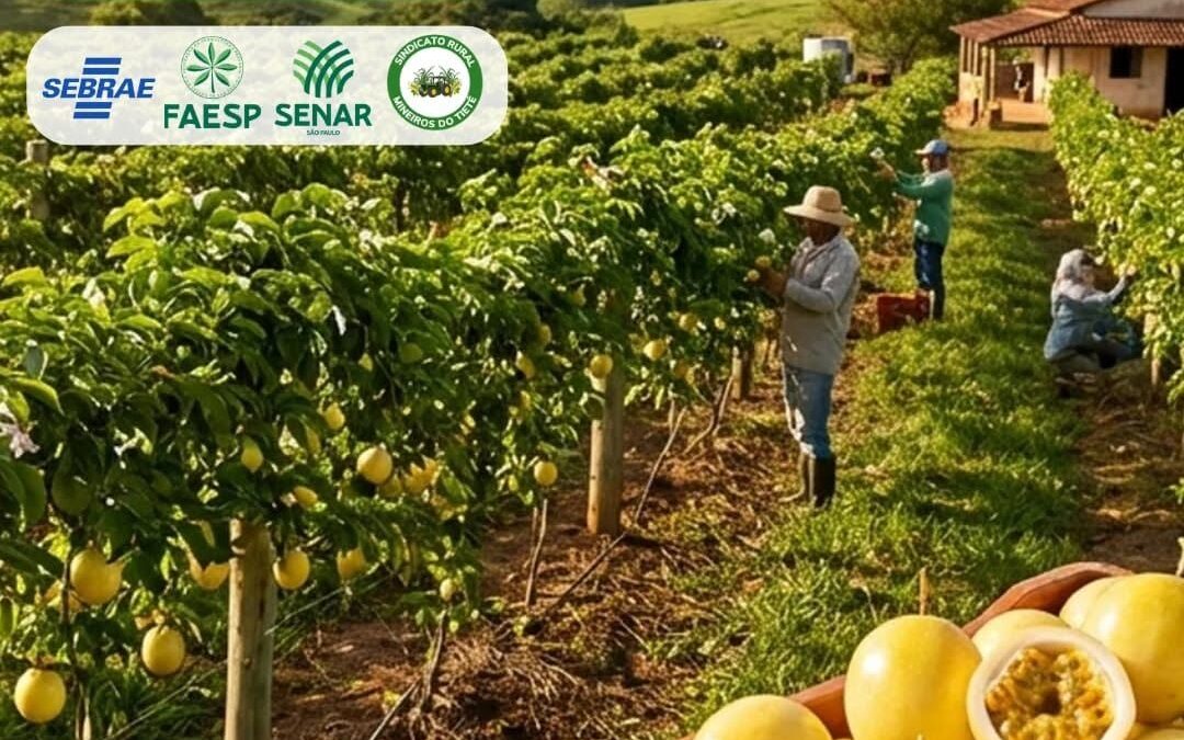 Economia: Acib convida para curso de instalação de lavoura de maracujá