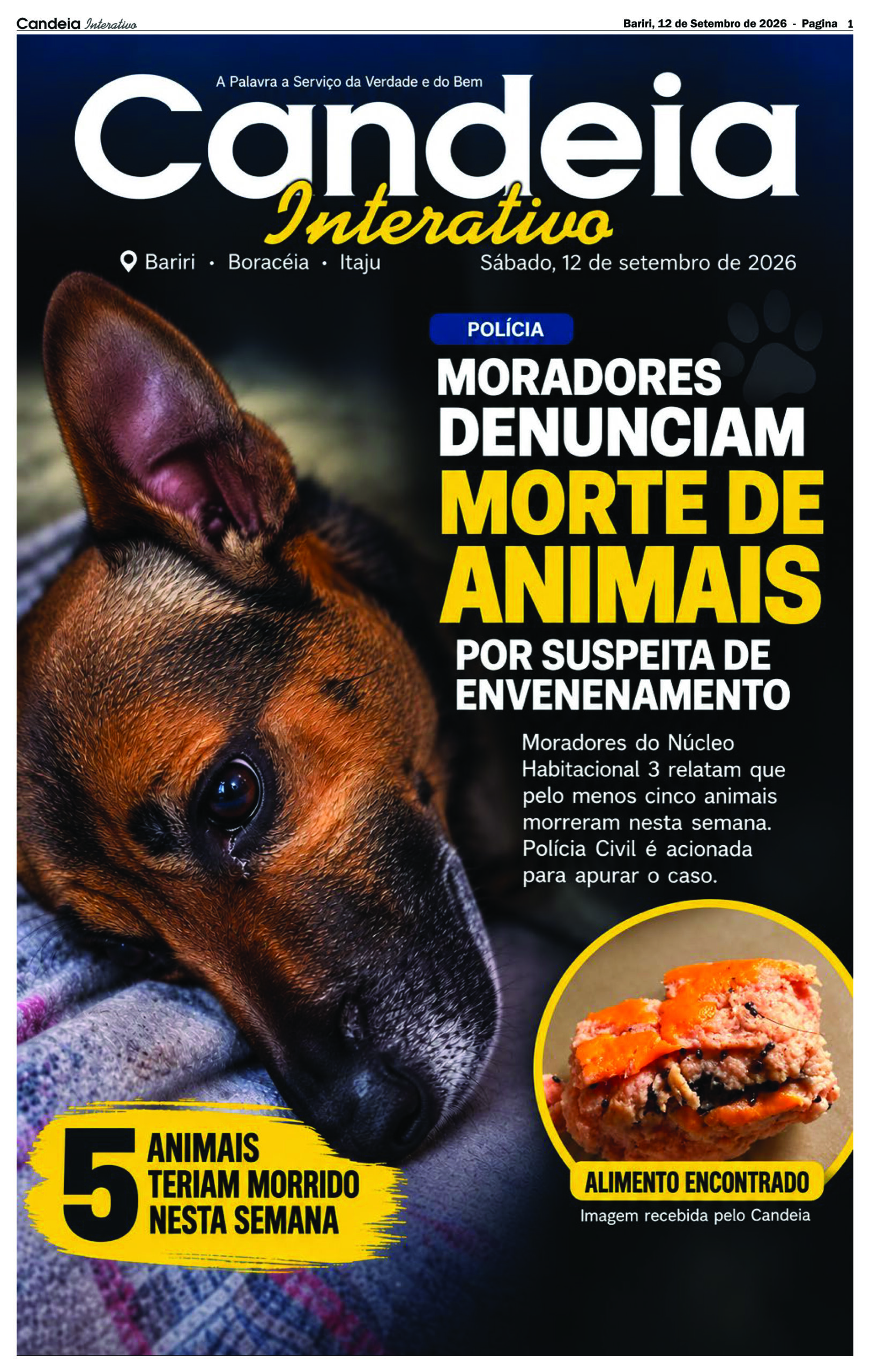 Capa Interativo 12 09