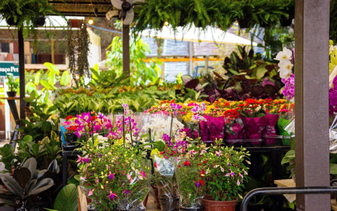 Região: Ceagesp em Flor acontece de 18 a 20 de setembro
