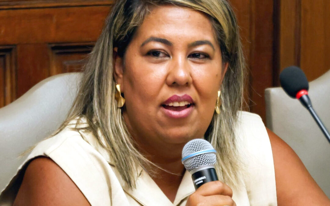 Política: Conselho da Comunidade Negra vai eleger diretoria para gestão 2027-2028